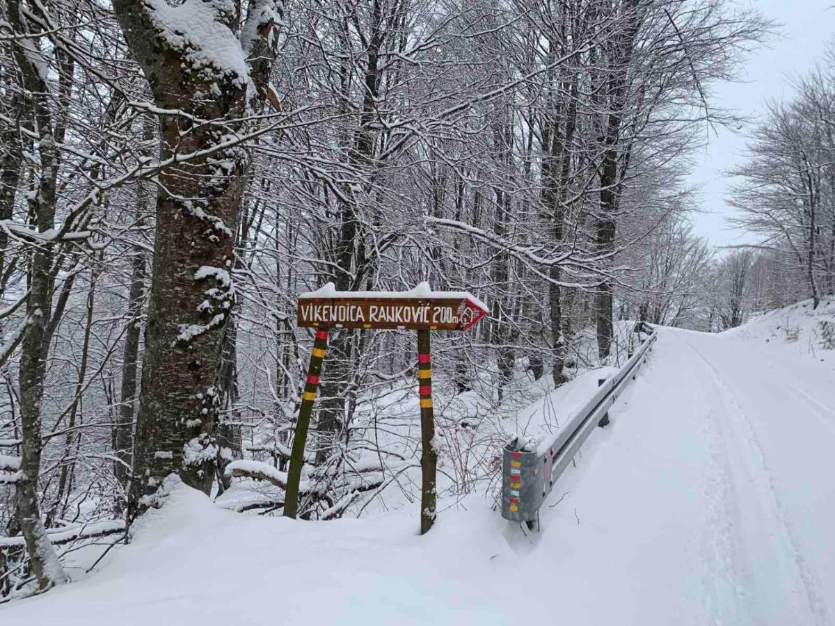 모크라 고라 Vikendica Rankovici 빌라 외부 사진