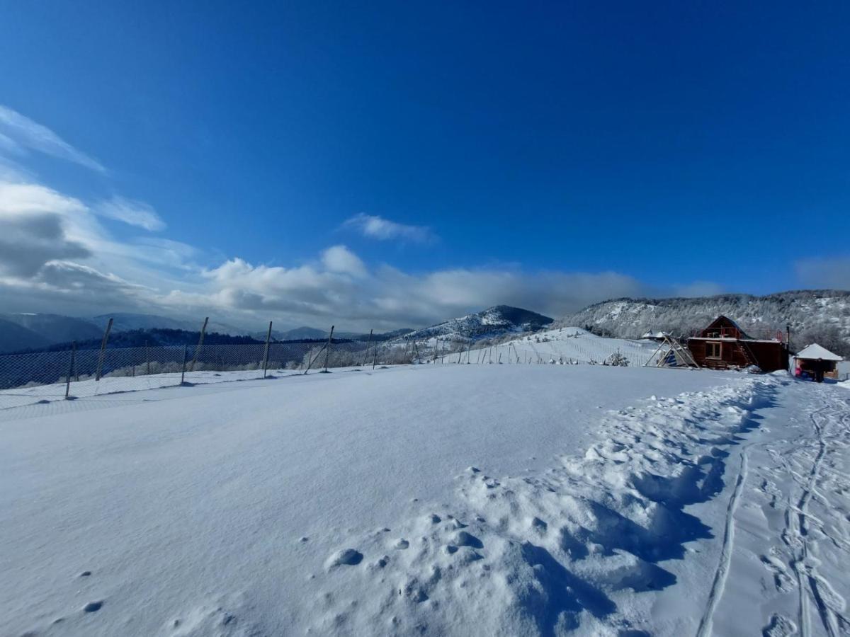 모크라 고라 Vikendica Rankovici 빌라 외부 사진