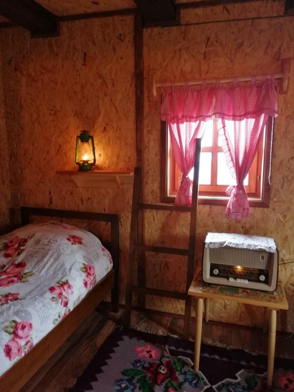 모크라 고라 Vikendica Rankovici 빌라 외부 사진
