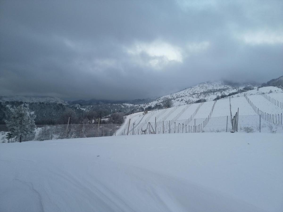 모크라 고라 Vikendica Rankovici 빌라 외부 사진