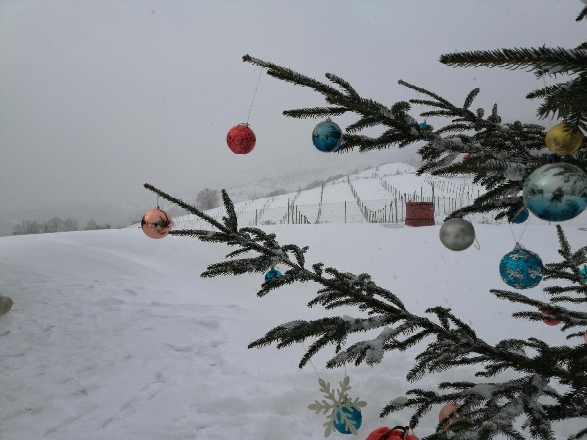 모크라 고라 Vikendica Rankovici 빌라 외부 사진